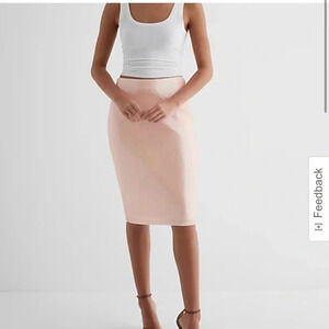 Express Super High Waisted Sequin Midi Pencil Skirt in
NWT